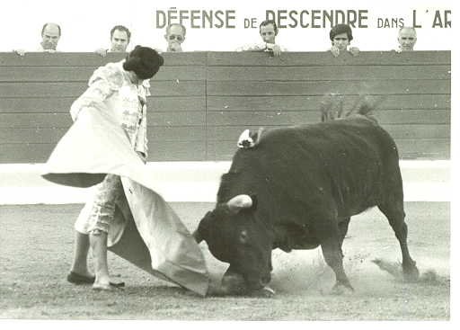 YIYO 03.jpg