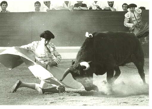 YIYO 05.jpg