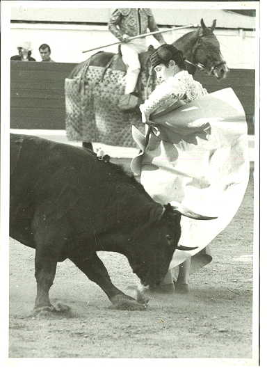 YIYO 06.jpg