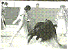 YIYO 07.jpg