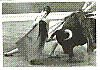 YIYO 08.jpg