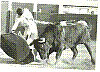 YIYO 09.jpg