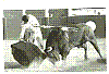 YIYO 12.jpg