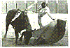 YIYO 13.jpg