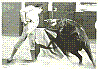 YIYO 14.jpg