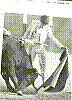 YIYO 16.jpg