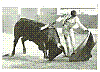 YIYO 17.jpg